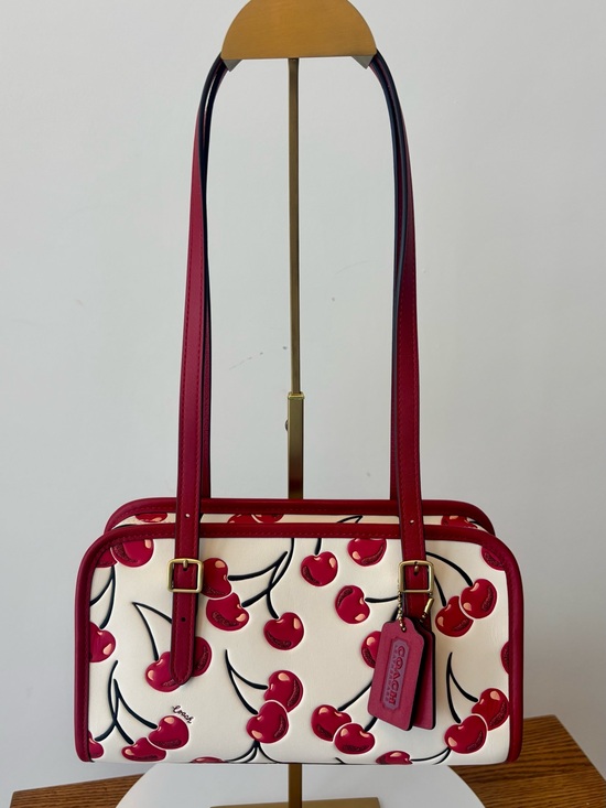 Coach Handbags - NWT COACH Swing Zip Bag w/Red Cherry Print includes Dust Bag